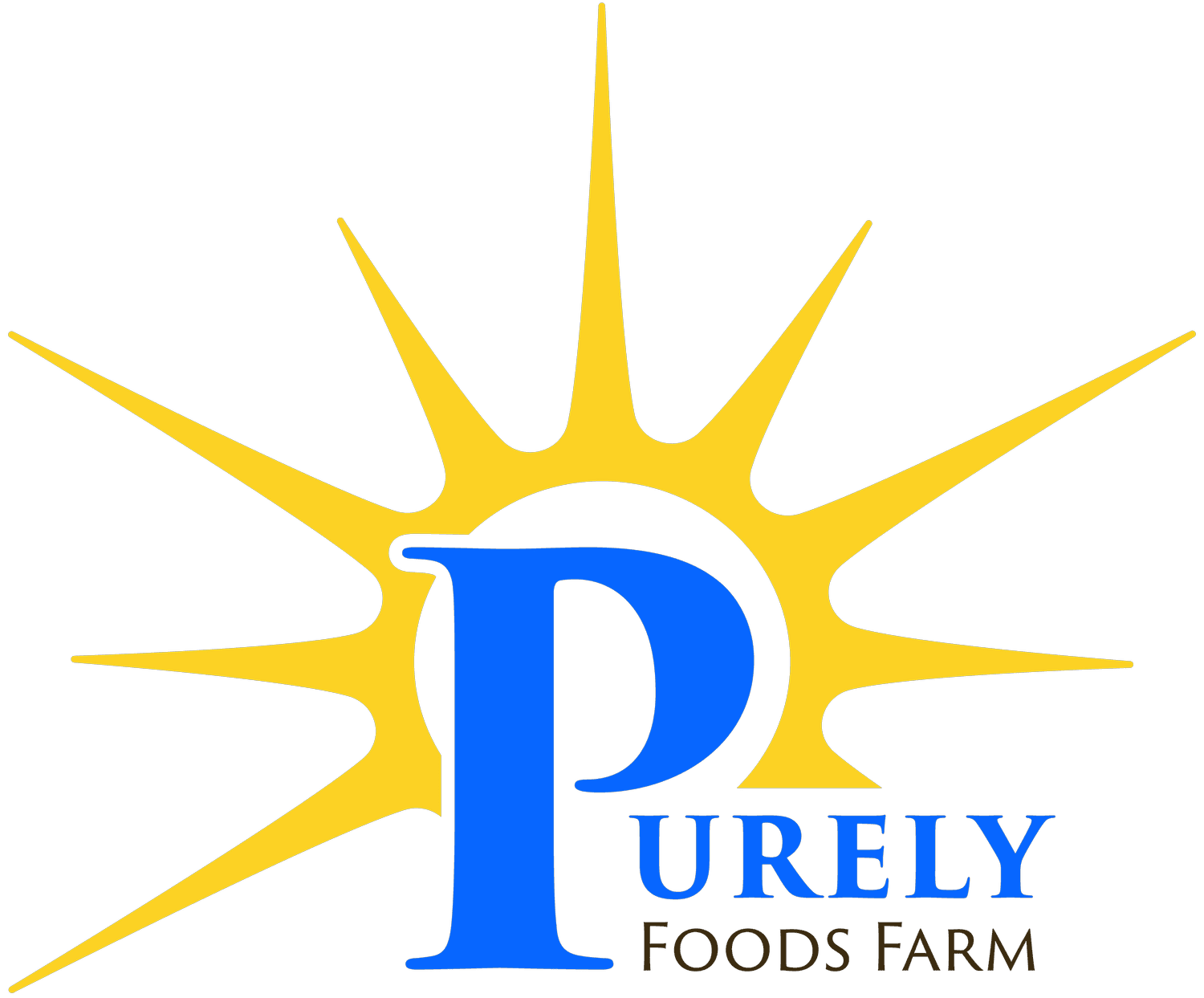 PurelyFoodsFarm_Logo_Primary Logo of Purely Foods Farm featuring a stylized sun with rays in yellow and a blue letter "P" symbolizing fresh, organic produce and farm-to-table values.